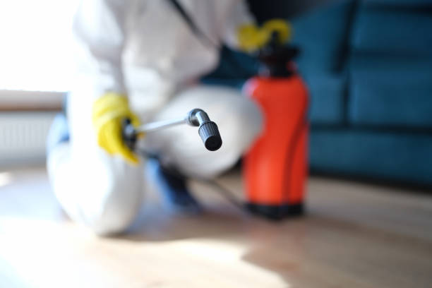 Best Mold Prevention Services  in Gaston, SC