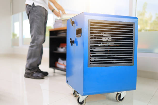 Best Forensic Mold Investigation  in Gaston, SC